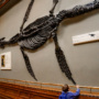 Londres: Museu de História Natural, um tesouro cheio de dinossauros e curiosidades
